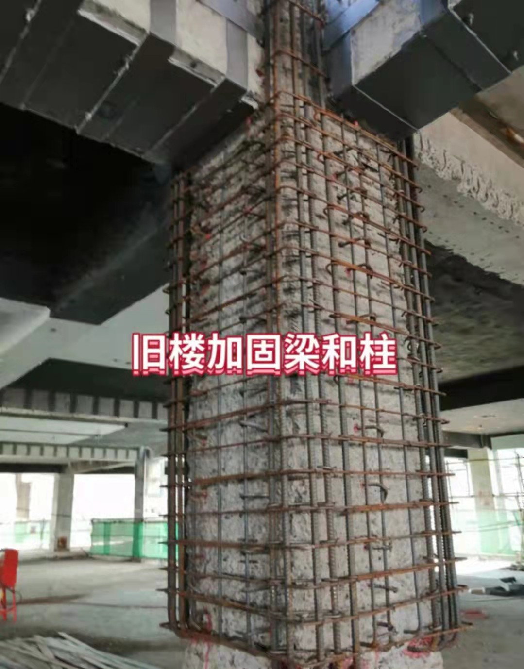 成功案例 成功案例